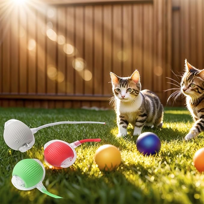 Electric Cat Toy - Automatic Rolling cat Toy with Motion sensors, Designed for Indoor Cats, Suitable for Solo Play (USB Rechargeable) (Red)-PawvioPets