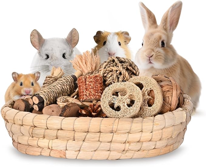 31PCS Rabbit Chew Treat Toys for Teeth Health, Natural Bunny Enrichment Toys for Boredom & Stress Relief, Keep Busy Toys for Guinea Pig Chinchilla Hamster Rat Gerbil Degu Indoor Outdoor-PawvioPets