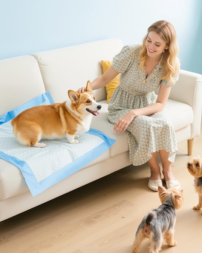 150-Pack Large Puppy Pads - 22'' x 22'' Pee Pads for Dogs Potty Training with Leak-Proof Quick-Dry Design, 6-Layer Dog Pads Large, Blue-PawvioPets