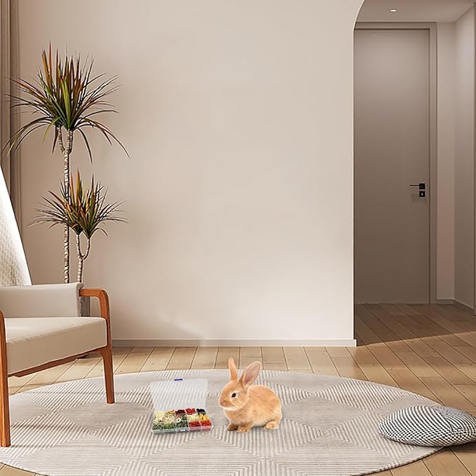 Bunny Treats, Treat Box with 15 Kind of Snacks for Rabbit, Hamster, Chinchilla, Guinea Pig and Other Small Pets, Chinchilla Treats, Guinea Pig Treats, Hamster Treats-PawvioPets