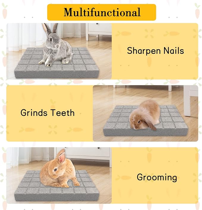 BNOSDM Rabbit Grinding Claw Pads 2Pack Bunny Scratch Foot Pads Natural Hamster Lava Stone for Teeth Grinding White Rabbit Scratching pad Chew Toy for Guinea Pig Ferret Chinchilla Mouse-PawvioPets