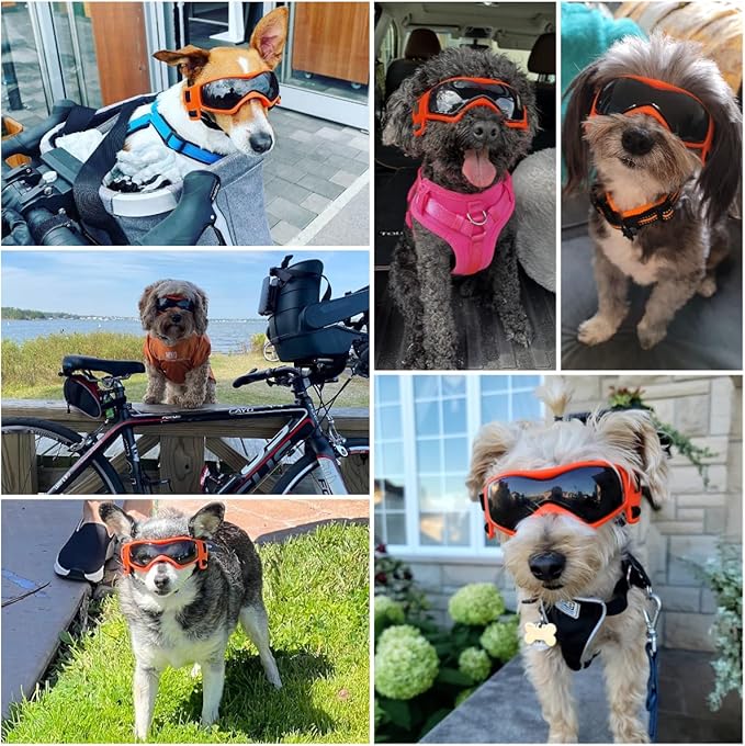 Dog Goggles Dog Sunglasses for Medium Breed UV Protection Windproof with Adjustable Head Straps Chin Straps for Ride Car/Hiking Travel/On Beach-Orange-PawvioPets