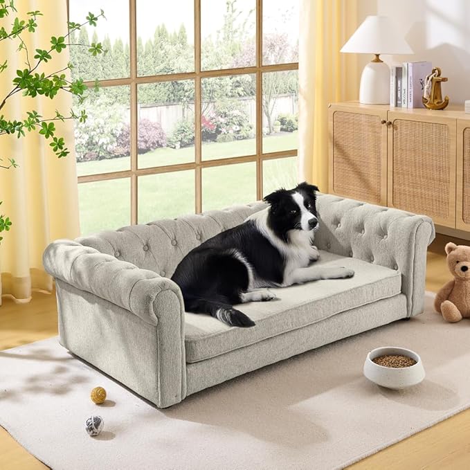 Dog Sofa Couch for Medium to Large Dogs, 55" Memory Foam Pet Sofa Couch with Washable Fabric, Durable Elevated Dog Bed with Legs, Removable Cushion for Medium and Large Dogs, Beige-PawvioPets