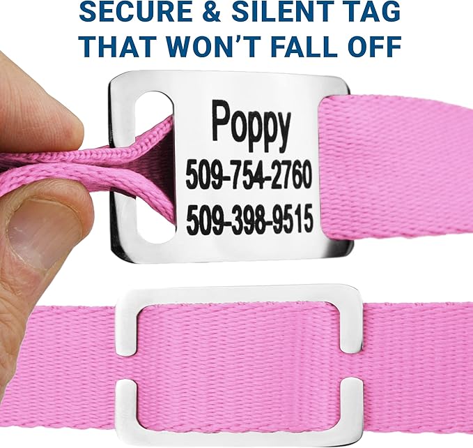 GoTags Personalized Dog Collar with Nameplate, Adjustable Dog Collar with Custom Engraved Slide On Pet ID Tag in Stainless Steel, Silent, No Noise Dog Tag for Large Medium and Small (Pink, X-Small)-PawvioPets