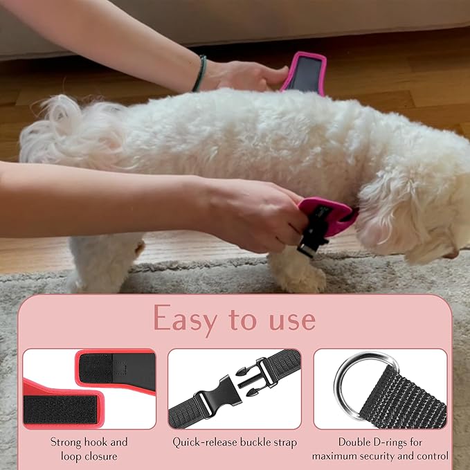 Comfort fit Step-in Dog & Puppy Harness - Comfortable All Weather Dog Vest Harness: Adjustable, Soft Padded, Easy to Put-on for Small, Medium-Sized Dogs.-PawvioPets