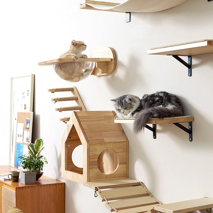 FUKUMARU Cat Wall Furniture Set, Transparent Capsule Kitten Walls Shelves with 2 PCS Pedals - Premium Kitty Bed for Sleeping, Playing, Climbing, and Lounging - Easily Holds Up to 35 Lbs-PawvioPets