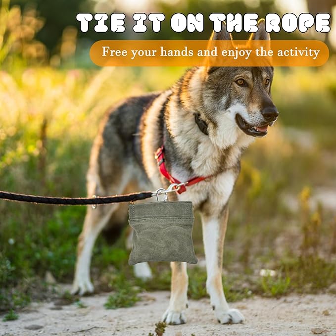 CONLI Dog Treat Pouch Portable Treat Pouches for Pet Training, Dog Training Treat Pouch with Carabiner, Auto Closing Pet Feed Snack Reward Pocket for Pet Travel or Outdoor Use-PawvioPets