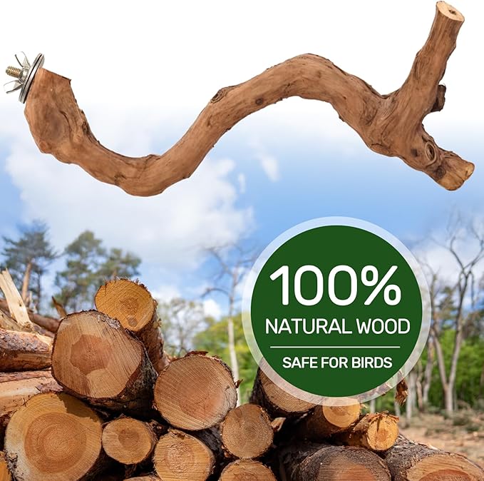 4-Piece Bird Perch Set with Rotating Ball Stand - Natural Wood Bird Gym & Playground for Parrots, Cockatiels, Budgies-PawvioPets