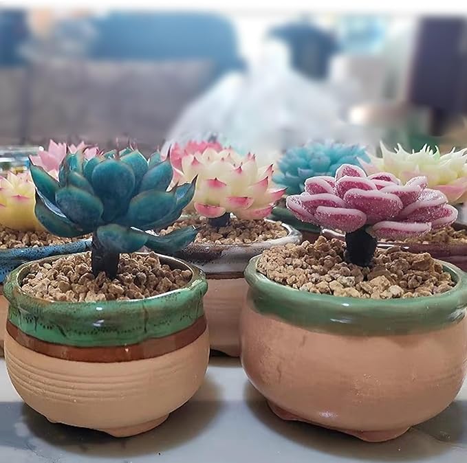 5 lbs Maifanitum Stones for Succulent,1/4 Inch Decorative Rocks for Indoor Plants, Bonsai, Soil Cover. Small Stones for Promote Soil Root Growth, Water Drainage and Plant Growth(5-8 mm)-PawvioPets