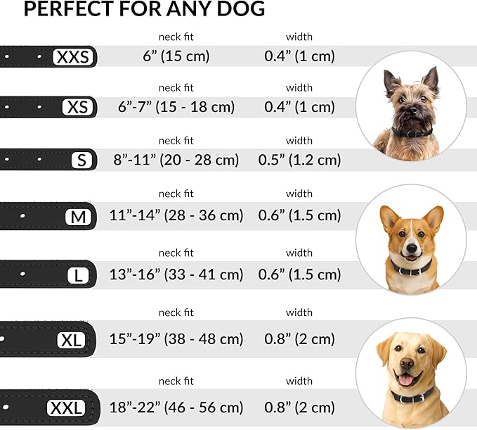 CollarDirect Rolled Leather Dog Collar, Soft Padded Round Puppy Collar, Handmade Genuine Leather Collar Dog Small Large Cat Collars 13 Colors (8-11 Inch, Black Textured)-PawvioPets