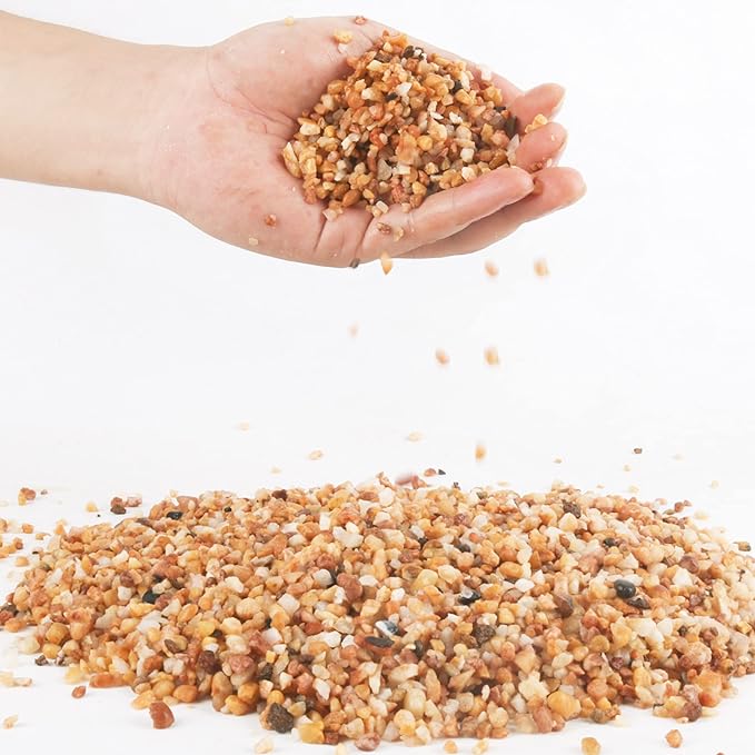 3lb Cactus Pea Gravel Rocks,1/5 Inch Pebbles for Indoor Plants, Natural Succulent Rock and River Rocks Decorative for Aquariums, Vases, Terrarium, Outdoor Gardening, Top Dressing for Potted Plants-PawvioPets