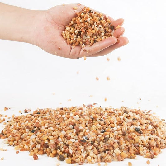 3lb Cactus Pea Gravel Rocks,1/5 Inch Pebbles for Indoor Plants, Natural Succulent Rock and River Rocks Decorative for Aquariums, Vases, Terrarium, Outdoor Gardening, Top Dressing for Potted Plants-PawvioPets