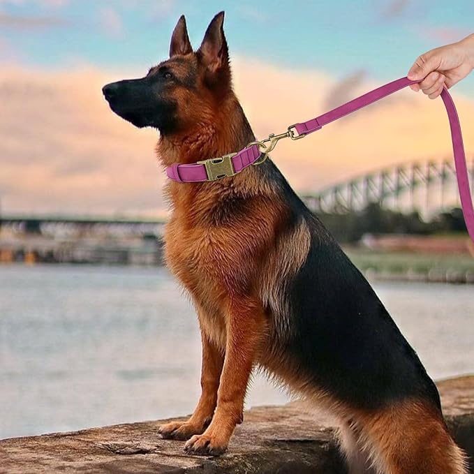 Didog Soft PU Leather Dog Collar, Stylish Quick Released Dog Collars for Large Dogs, Easy Clean Adjustable Pet Collar for Daily Walking, Purple, XL Fit 17-27" Neck-PawvioPets