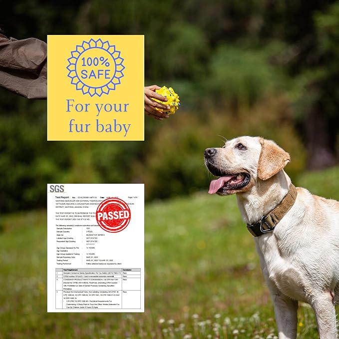 Durable Interactive Dog Toys for Aggressive Chewers,Puppy Teething Toys,Floating Fetch Balls,Bouncing Chew Balls,Tennis Balls for Dogs (2 Balls)-PawvioPets