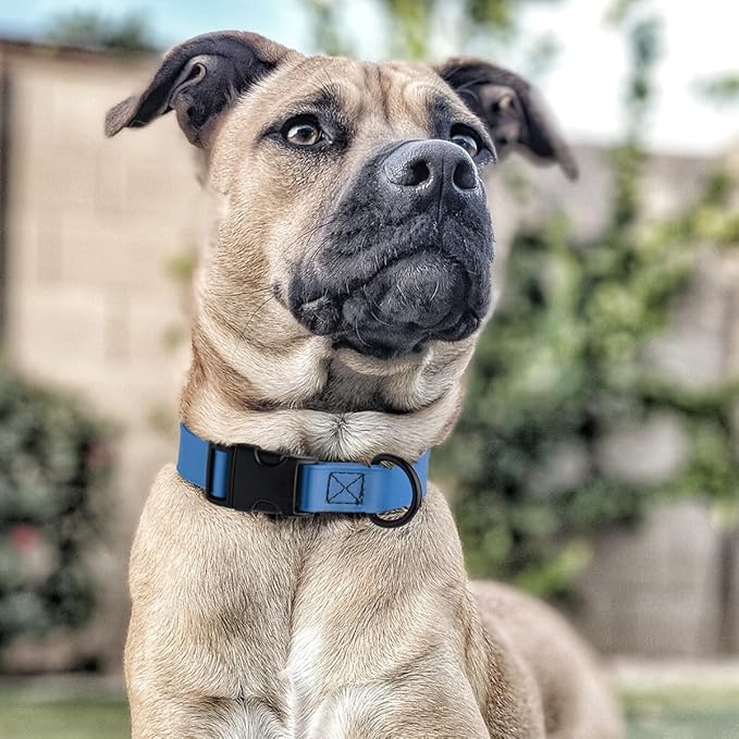 Dogline Biothane Waterproof Dog Collar with Quick Release Buckle Strong Coated Nylon Webbing with Odor- Proof for Easy Care Easy to Clean Fits Small Medium or Large Dogs, Dogline Blue 3/4" W 12-19" L-PawvioPets