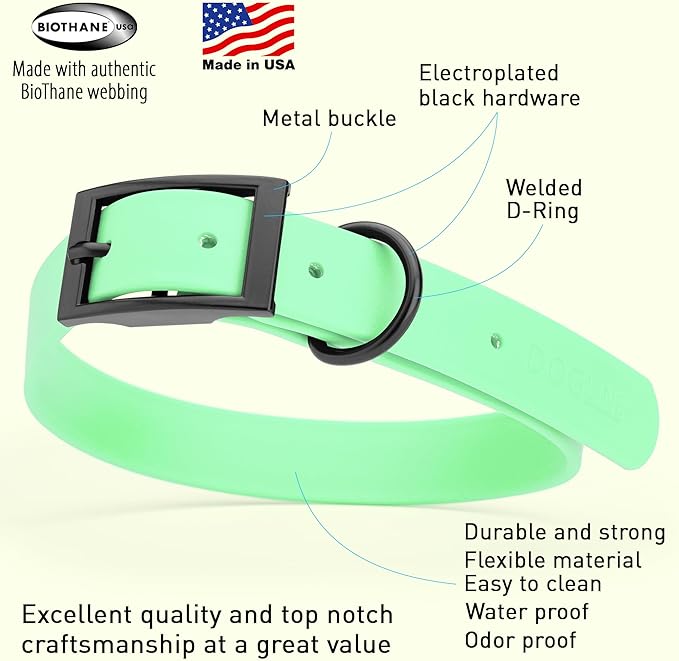 Dogline Biothane Waterproof Dog Collar Strong Coated Nylon Webbing with Black Hardware Odor- Proof for Easy Care Easy to Clean High Performance Fits Small Medium or Large Dogs, Sea Foam Green-PawvioPets