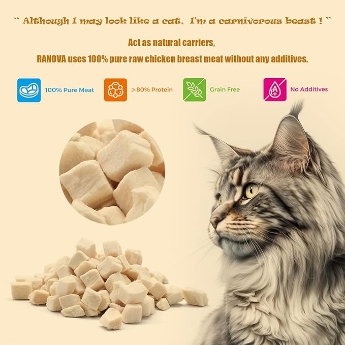 Freeze Dried Cat Treats - 100% Chicken Breast Grain Free Raw - Natural Balance Limited Ingredient High Protein Cat Snacks 140g/4.94oz - Picky Eater Challenger-PawvioPets