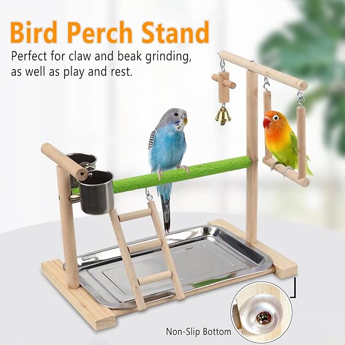 Birds Playground Parrot Playstand Birds Perch Stand Gym Natural Wood Play Stand with Ladder Swing Feeder Cups for Parakeets Cockatiels Lovebirds Conures Budgies-PawvioPets