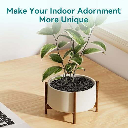 2.5lbs Small Lava Rocks for Plants Drainage, 1/5 Inch Black Gravel Mulch for House Plants, Succulent Rocks Pebbles for Planters,Cactus, Bonsai Tree, Pure Volcanic Rocks, Top-Dressing-PawvioPets