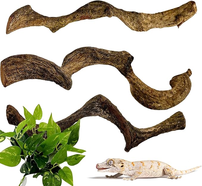 BNOSDM 3 Pcs Reptile Climbing Branches Decor,Snake Climbing Branch,Gecko Climb Wood,Lizard Forest Branch,Tank Habitat Tree Trunk Decorations for Bearded Dragons,Chameleons,Spider,Frogs (S)-PawvioPets
