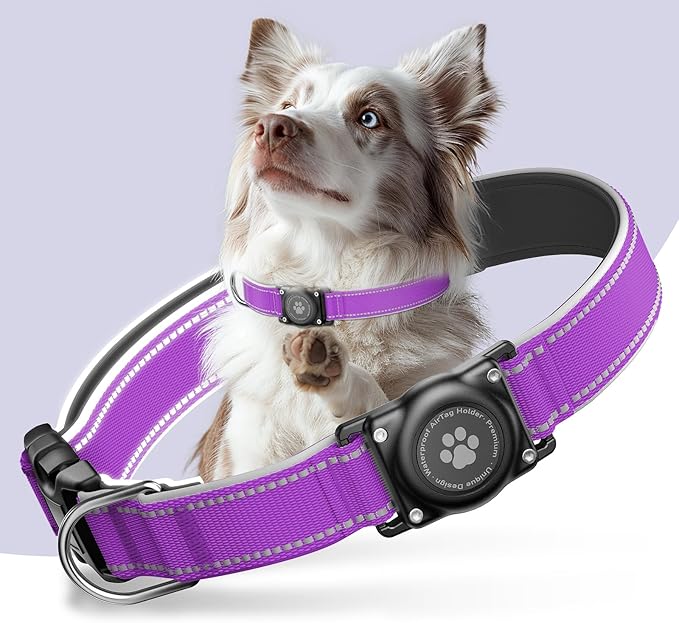 Airtag Dog Collar - 100% Waterproof Air tag Dog Collar Holder for Apple AirTag, Reflective, Soft Padded, Everlasting, GPS Dog Collar for Small Medium Large Dogs (Purple, M)-PawvioPets