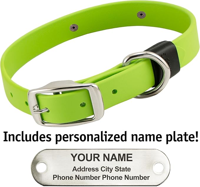 Biothane Custom Dog Collar – Waterproof, Stink-Proof Personalized Collar with Name & Phone Number – Durable, Many Sizes and Colors – Assembled in USA (Green Apple)-PawvioPets