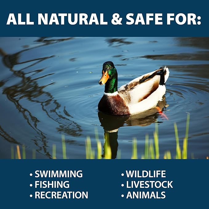 Airmax PondClear Packets, Beneficial Bacteria & Enzyme Clarifier Treatment with Ecoboost PRx, Clear & Clean Pond & Lake Water, Safe for Fish, 12-Count-PawvioPets