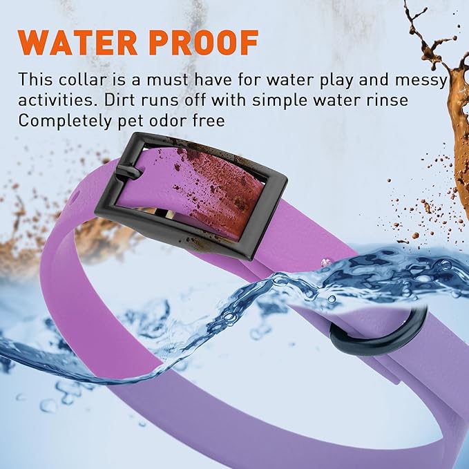 Dogline Biothane Waterproof Dog Collar Strong Coated Nylon Webbing with Black Hardware Odor- Proof for Easy Care Easy to Clean High Performance Fits Small Medium or Large Dogs, Amethyst Purple-PawvioPets