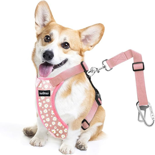 Dog Seat Belt, Safety Vest Dog Car Harness with Adjustable Buckle Dog Seat Belt for Vehicle Nylon Pet Safety Seat Belts Heavy Duty(S, Pink Daisy)-PawvioPets