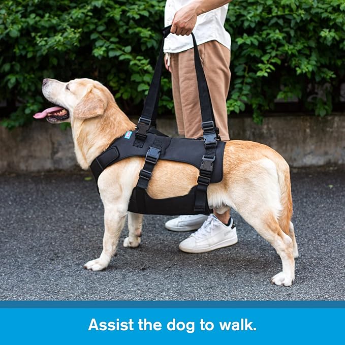 Dog Lift Harness, Rehabilitation Lifts Vest for Dogs, Support & Recovery Sling, Adjustable Breathable Lifting Straps for Old, Joint Injuries, Arthritis, Paralysis Dogs Walk (M, Black)-PawvioPets