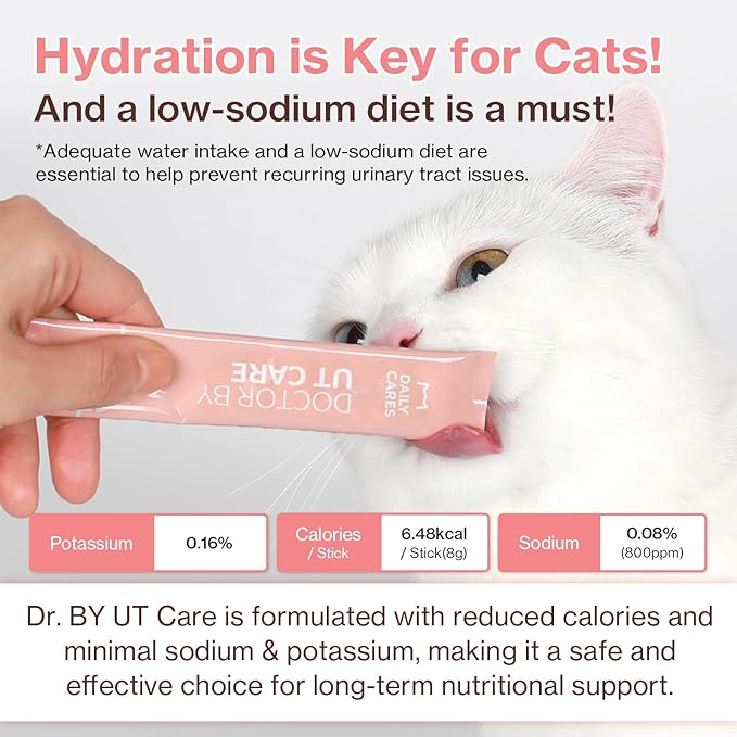 Dr.by UT Care Cat UTI Kidney Support Urinary Supplement Cranberry Treatment for Cats Renal Health with Pacran, Quercetin, Taurine lickable Formula Individually Packaged (1 Pack)-PawvioPets
