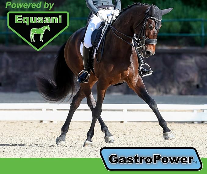 GastroPower Digestible Free Fatty Acid Feed Concentrate for Horses-PawvioPets