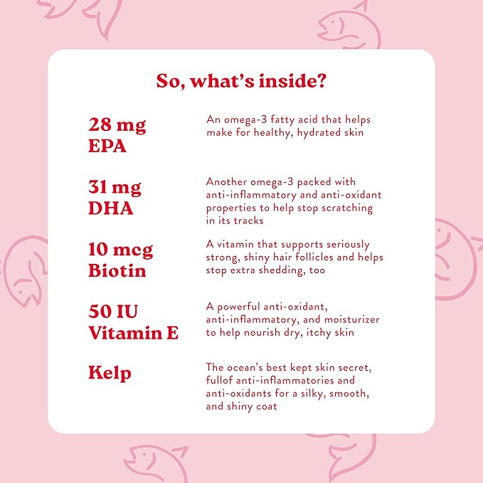 Bocce's Bakery Skin & Coat Supplement for Dogs, Daily Chews Made in The USA with Vitamin E & Essential Fatty Acids, Supports Healthy Skin & Coat, Salmon, 60 ct, Red (DG-SP-SKIN60)-PawvioPets