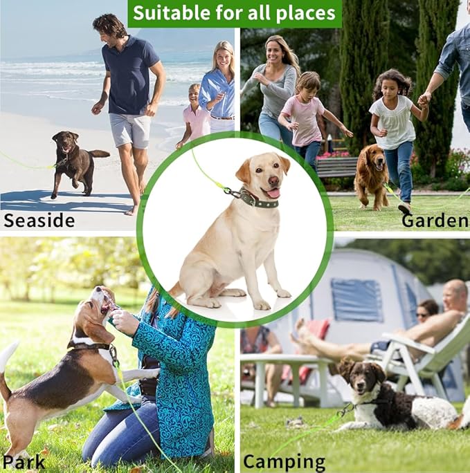 Dog tie Out Cable, 10/20/25/30/50/70/100 feet, Suitable for Dogs up to 350 pounds, Dog Cable with Swivel Buckle, Lightweight, Non-Winding, for Outdoor Camping, Yard Dog Cable (Green, 100FT)-PawvioPets