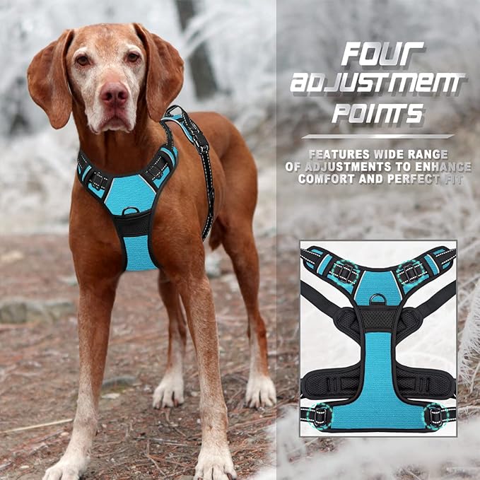 BARKBAY No Pull Dog Harness Front Clip Heavy Duty Reflective Easy Control Handle for Large Dog Walking(Blue,S)-PawvioPets