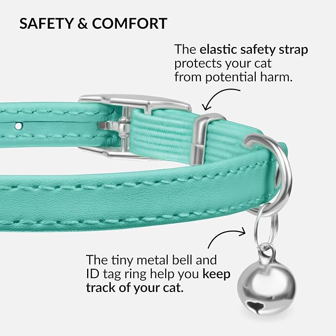 CollarDirect Leather Cat Collar with Bell - Kitten Collar, Small and Big Cat Collar for Boy Cats, Girl Cats with Safety Elastic Strap (Neck Fit 8"-11", Mint Green)-PawvioPets