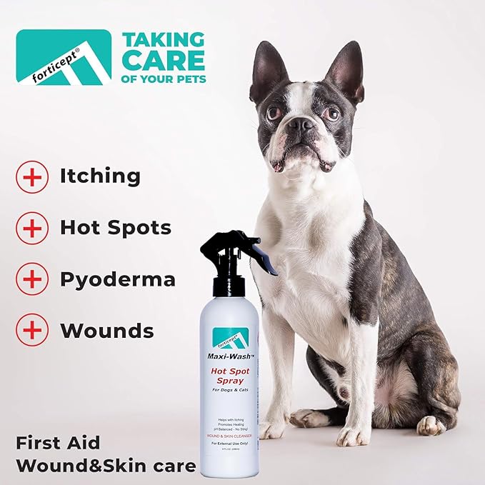 Forticept Maxi-Wash Hot Spot Spray Treatment, Wound Care & Itch Relief Spray for Dogs and Cats. Relives Scratching, Rashes, Sores, Itchy Skin and Paw Licking 8 oz-PawvioPets