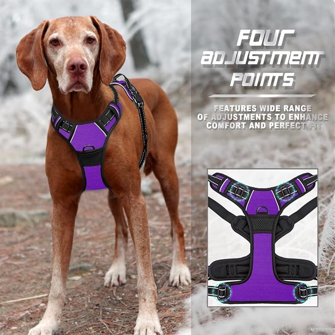 BARKBAY No Pull Dog Harness Front Clip Heavy Duty Reflective Easy Control Handle for Large Dog Walking(Purple,M)-PawvioPets