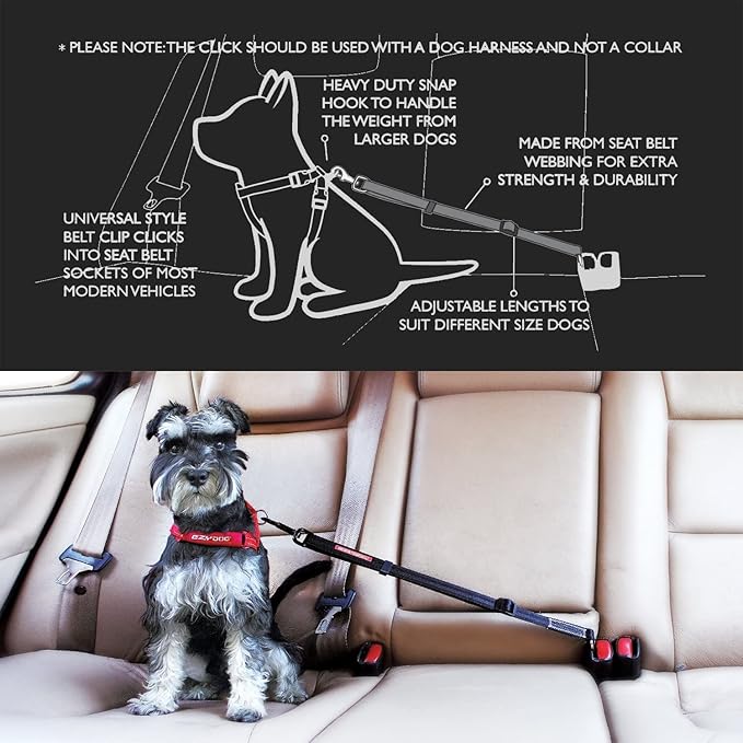 EzyDog CLICK – Dog Seat Belt for Car, Dog Harness Adjustable Seatbelt Attachment – Heavy Duty Nylon Seat Belt Webbing (17.5in - 26in)-PawvioPets