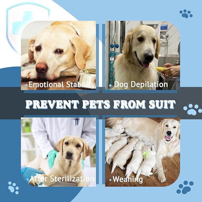 Breathable Dog Surgery Recovery Suit for Male/Female, Professional Dog Recovery Onesie with Zipper After Spay Abdominal Wounds, Anti Licking Cone E-Collar Alternative for Small Medium Large Dog-PawvioPets