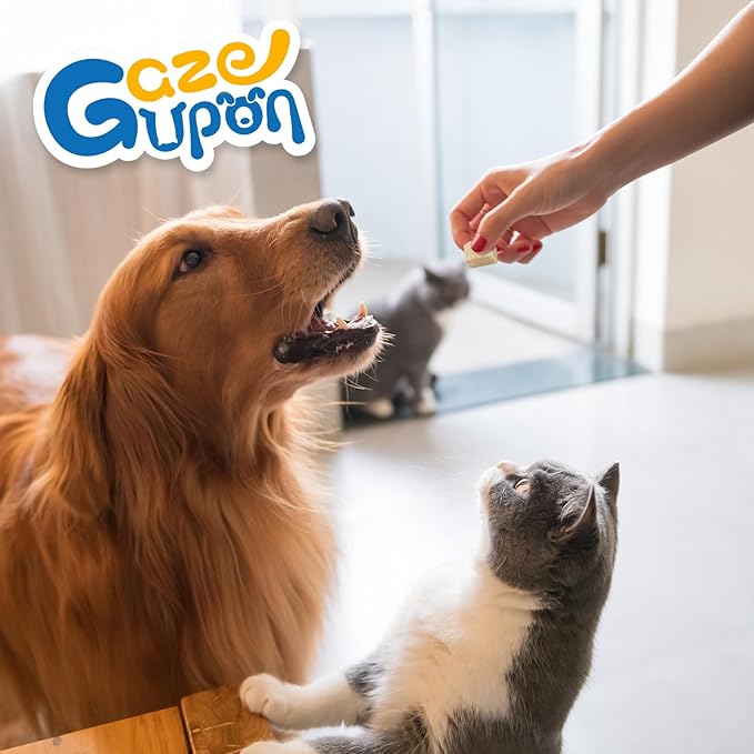 gazeupon Freeze Dried Chicken Treats for Dogs & Cats, Single Ingredient Natural and Healthy Training Treats & Food Topper, High Protein Dog Snacks,10.58 oz-PawvioPets