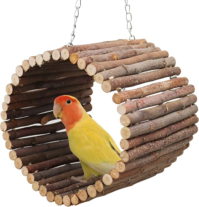 Bird Parrot Swing Toys, Hanging Bird Tree Caves, Natural Apple Wood Parrot Hammock, Bird Cage Accessories, Suitable for Little Bird Parakeets Cockatiels Lovebirds Hamster Rat (6.49" in Diameter)-PawvioPets