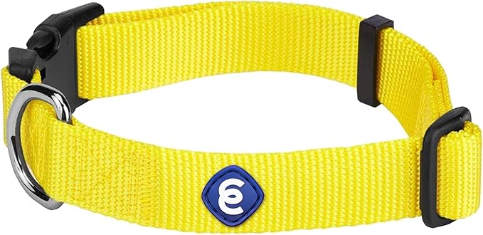 Blueberry Pet Essentials X-Small Dog Collar in Blazing Yellow | Adjustable & Eco-Friendly Durable Nylon Strap | Classic Collar for X-Small Dogs, Boy & Girl Pets-PawvioPets