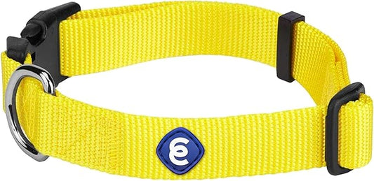 Blueberry Pet Essentials X-Small Dog Collar in Blazing Yellow | Adjustable & Eco-Friendly Durable Nylon Strap | Classic Collar for X-Small Dogs, Boy & Girl Pets-PawvioPets