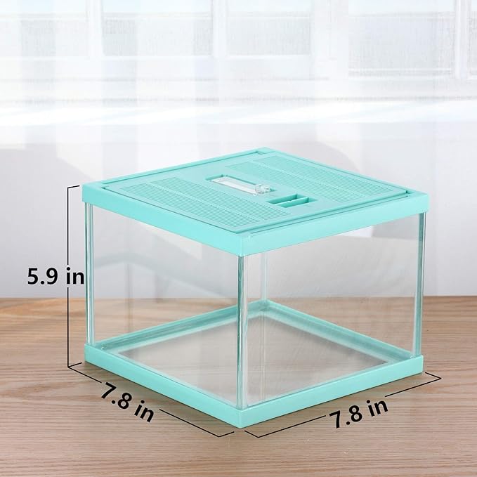 crapelles Reptile Terrarium Tank, Snail Jumping Spider Enclosure, Tarantula Insect Pet Box, Vivarium Tank for Hermit Crab Cricket Gecko Frog, Small Tortoise Habitat Cage (7.8x7.8x5.9 Inches) Green-PawvioPets