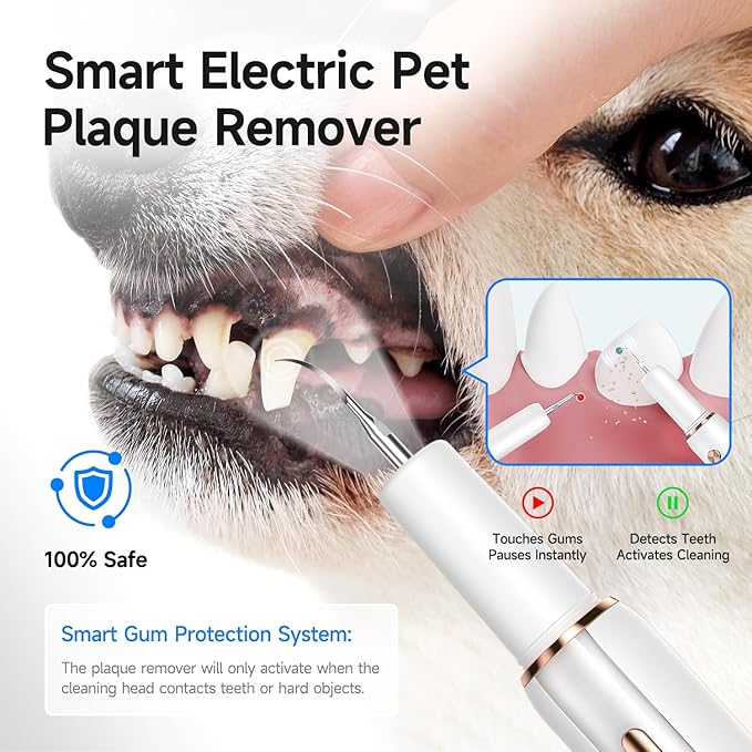 Electric Dog Plaque & Tartar Remover - Pet Teeth Cleaning Kit with LED Light, 5 Adjustable Modes, Safe and Low Noise – Easy Home Dental Care for Dogs and Cats-PawvioPets