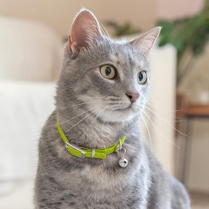 CollarDirect Leather Cat Collar with Bell - Kitten Collar, Small and Big Cat Collar for Boy Cats, Girl Cats with Safety Elastic Strap (Neck Fit 8"-11", Lime Green)-PawvioPets