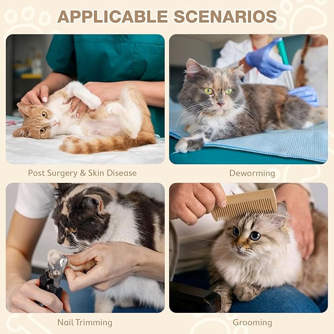 Avont Cat Cone Collar Soft to Stop Licking, Adjustable Foldable Lightweight Kitten Recovery Collar After Surgery for Small Dogs, Elizabeth Cone of Shame Alternative -Strawberry(M)-PawvioPets