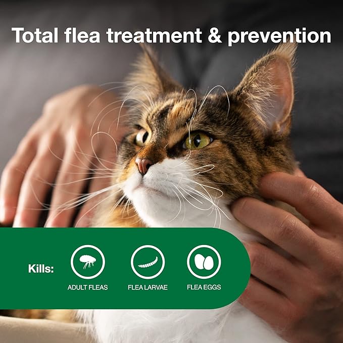 Advantage II Large Cat Vet-Recommended Flea Treatment & Prevention | Cats Over 9 lbs. | 1-Month Supply-PawvioPets