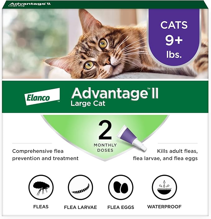 Advantage II Large Cat Vet-Recommended Flea Treatment & Prevention | Cats Over 9 lbs. | 2-Month Supply-PawvioPets